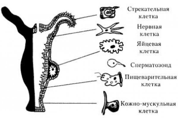 Кракен сайт kr2web in зарегистрироваться